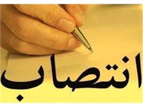 رییس صندوق رفاه دانشجویان معرفی گردید