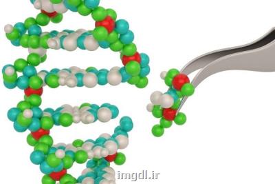 تعیین دقیق جنسیت موش با دستکاری ژنتیکی