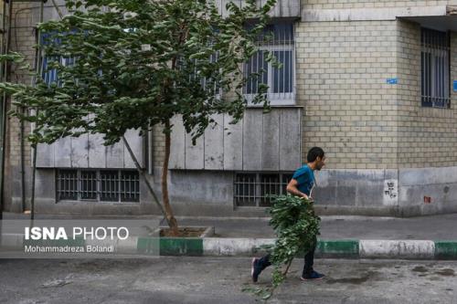 وزش باد شدید و رگبار باران در تهران