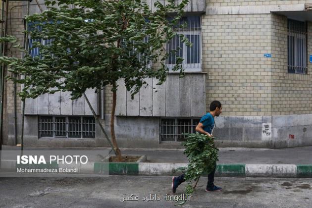 وزش باد شدید و رگبار باران در تهران