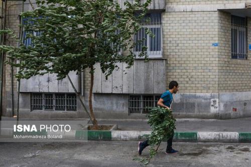 هشدار هواشناسی نسبت به ورود طوفان تندری به تهران به علاوه تصویر