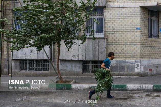 هشدار هواشناسی نسبت به ورود طوفان تندری به تهران به علاوه تصویر