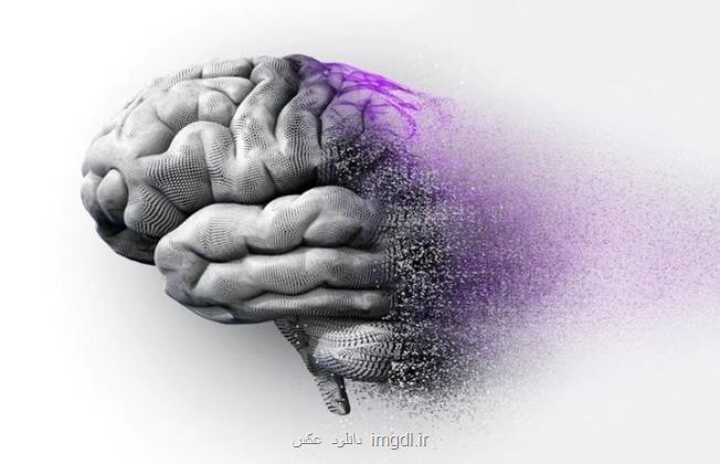 هوش مصنوعی درمان آلزایمر و پارکینسون را ممکن می سازد